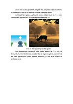 Konspekts 'Gaismas nozīme fotogrāfijā un fotografēšanā', 39.