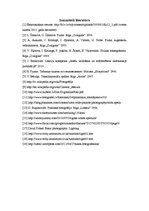 Konspekts 'Gaismas nozīme fotogrāfijā un fotografēšanā', 45.