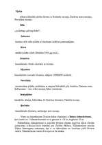 Konspekts 'Šveice', 8.