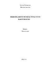 Konspekts 'Mikrofilamenti muskuļu šūnās un to raksturojums', 1.