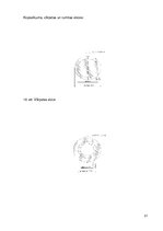Paraugs 'Tolerance un standartizācija', 21.