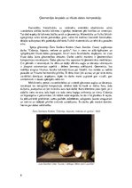 Konspekts 'Simboli baroka perioda klusās dabas žanra glezniecībā', 8.