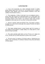 Referāts 'Tiesu amatpersonas un tiesu sistēmai piederīgās personas un iestādes', 8.