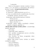 Referāts 'Matērijas raksturojums filosofijā un zinātnē', 10.
