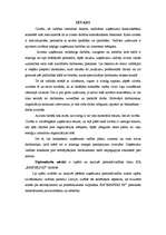 Diplomdarbs 'SIA "RIMPEKS KP” personālvadības analīze', 6.