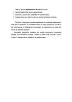 Diplomdarbs 'SIA "RIMPEKS KP” personālvadības analīze', 7.