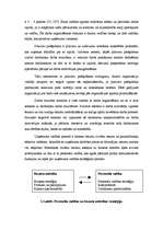 Diplomdarbs 'SIA "RIMPEKS KP” personālvadības analīze', 10.