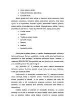 Diplomdarbs 'SIA "RIMPEKS KP” personālvadības analīze', 29.