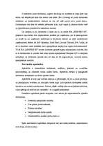 Diplomdarbs 'SIA "RIMPEKS KP” personālvadības analīze', 32.