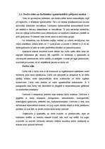 Diplomdarbs 'SIA "RIMPEKS KP” personālvadības analīze', 43.