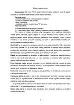 Biznesa plāns 'Biznesa plāns peintbola spēles laukumam', 6.