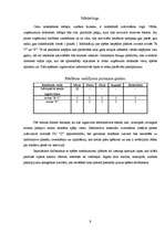 Biznesa plāns 'Biznesa plāns peintbola spēles laukumam', 9.