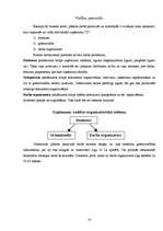 Biznesa plāns 'Biznesa plāns peintbola spēles laukumam', 10.