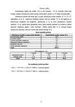 Biznesa plāns 'Biznesa plāns peintbola spēles laukumam', 12.