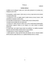 Biznesa plāns 'Biznesa plāns peintbola spēles laukumam', 13.