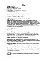 Referāts 'Čīle', 1.