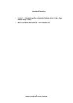 Referāts 'Kultūra un sociālā dzīve Eiropā 19.gadsimtā', 11.