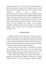 Referāts 'Renesanse un humānisms', 7.