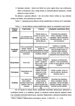 Referāts 'Emocionālo pārdzīvojumu izpēte pirmsskolas bērnu grupās', 7.