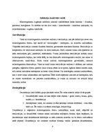 Referāts 'Infekciju kontrole zobārstniecības kabinetā', 4.