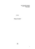 Eseja 'Banka "Citadele"', 1.