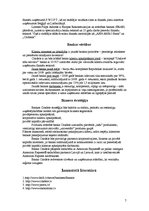 Eseja 'Banka "Citadele"', 7.