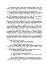 Referāts 'Uzņēmuma SIA "Dižozols plus" mārketinga vides un stratēģijas analīze, darbības p', 28.