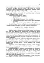 Referāts 'Uzņēmuma SIA "Dižozols plus" mārketinga vides un stratēģijas analīze, darbības p', 29.