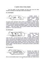Referāts 'Trokšņu slāpētāji', 15.