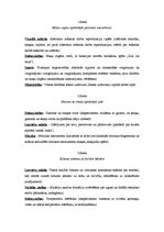 Konspekts 'Integrētā mācību satura plāns 1.klasei', 2.