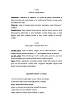 Konspekts 'Integrētā mācību satura plāns 1.klasei', 3.