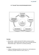 Referāts 'Uzņēmuma projektēšana', 12.