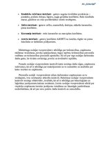 Referāts 'Uzņēmuma projektēšana', 15.