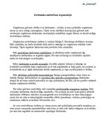 Referāts 'Uzņēmuma projektēšana', 17.