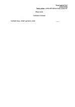 Paraugs 'Juridiskais atzinums', 3.