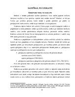 Prakses atskaite 'Prakse grāmatvedībā budžeta iestādē', 39.