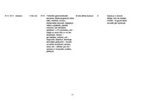 Prakses atskaite 'Aprūpes plāns terapijā', 11.