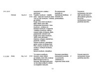 Prakses atskaite 'Aprūpes plāns terapijā', 13.