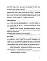 Referāts 'Multimedija', 12.