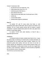 Referāts 'Multimedija', 22.