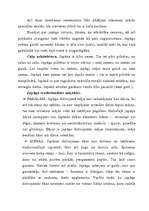 Referāts 'Japāna', 6.