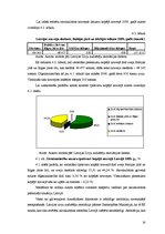 Referāts 'Zivsaimniecības raksturojums Latvijā', 15.