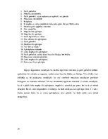 Referāts 'Cilvēku attieksme pret sociālā portāla "Instagram" apģērbu reklāmām', 24.