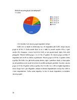 Referāts 'Cilvēku attieksme pret sociālā portāla "Instagram" apģērbu reklāmām', 30.