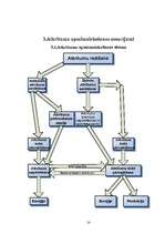 Referāts 'Atkritumu saimniecība Latvijā', 14.