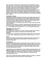 Konspekts 'Itālija', 1.