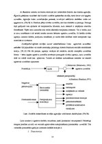 Diplomdarbs 'Sociālpedagoģiskā darbība ar pirmsskolas vecuma bērniem agresīvas uzvedības izpa', 14.
