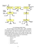 Diplomdarbs 'Sociālpedagoģiskā darbība ar pirmsskolas vecuma bērniem agresīvas uzvedības izpa', 38.