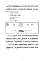 Diplomdarbs 'Sociālpedagoģiskā darbība ar pirmsskolas vecuma bērniem agresīvas uzvedības izpa', 42.