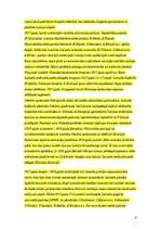 Konspekts 'Pirmais pasaules karš', 9.